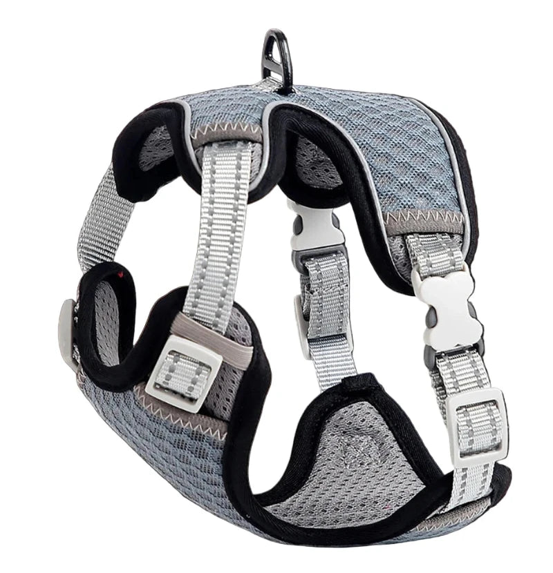 Cat chest strap with honeycomb mesh design