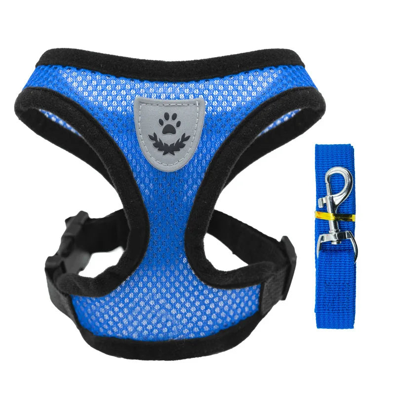 Cat Harness - PetitFurr