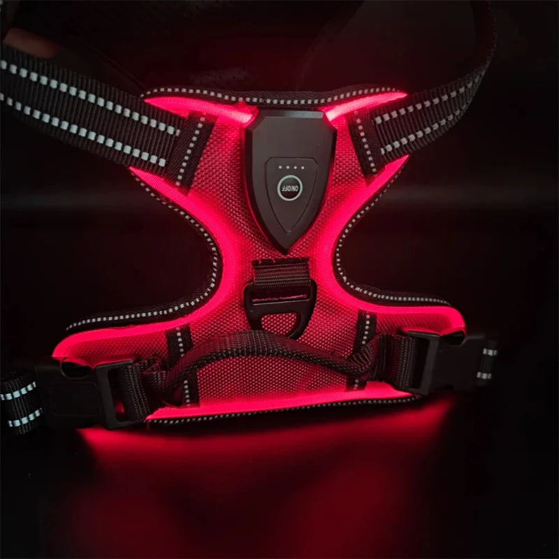 Red LED dog harness