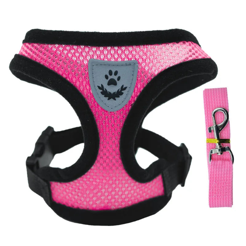 Cat Harness - PetitFurr
