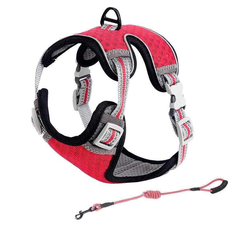 Escape Proof Cat Harness