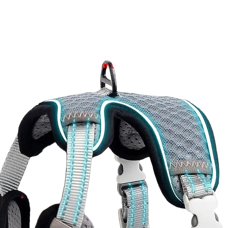 Escape Proof Cat Harness