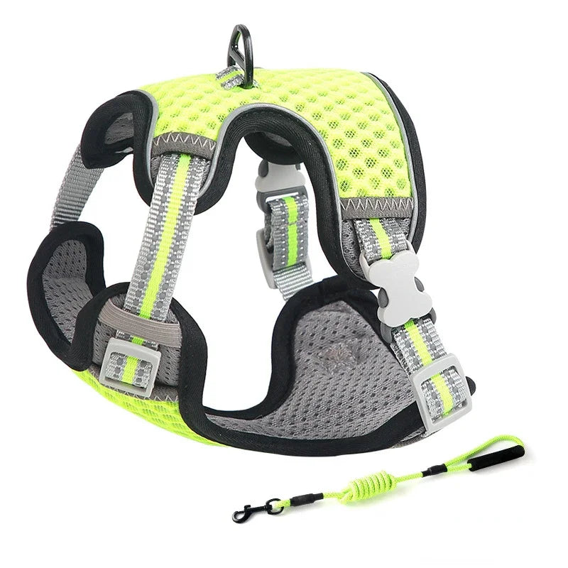 Escape Proof Cat Harness