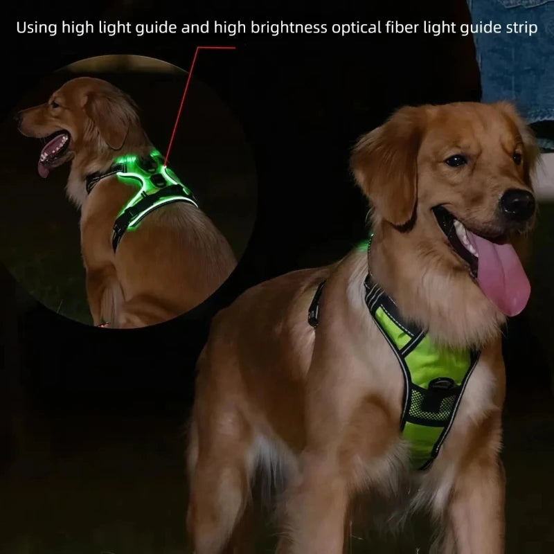 LED Glowing Luminous Dog Harnesses Vest with Three LED
