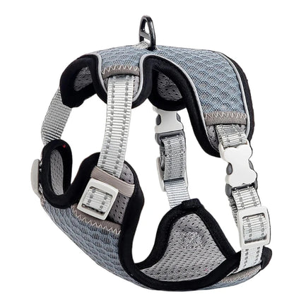 Cat chest strap with honeycomb mesh design 