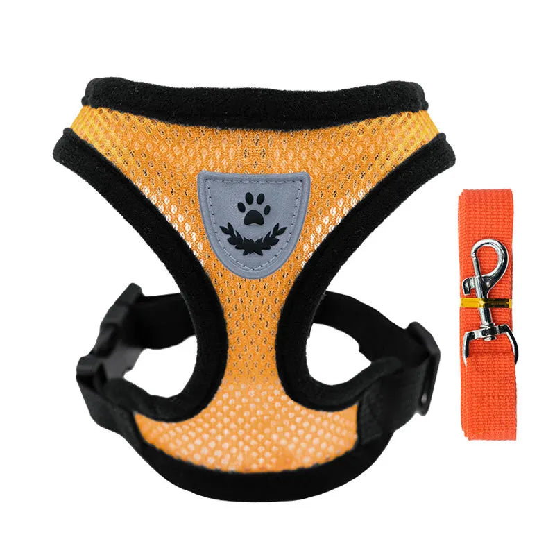 Cat Harness - PetitFurr