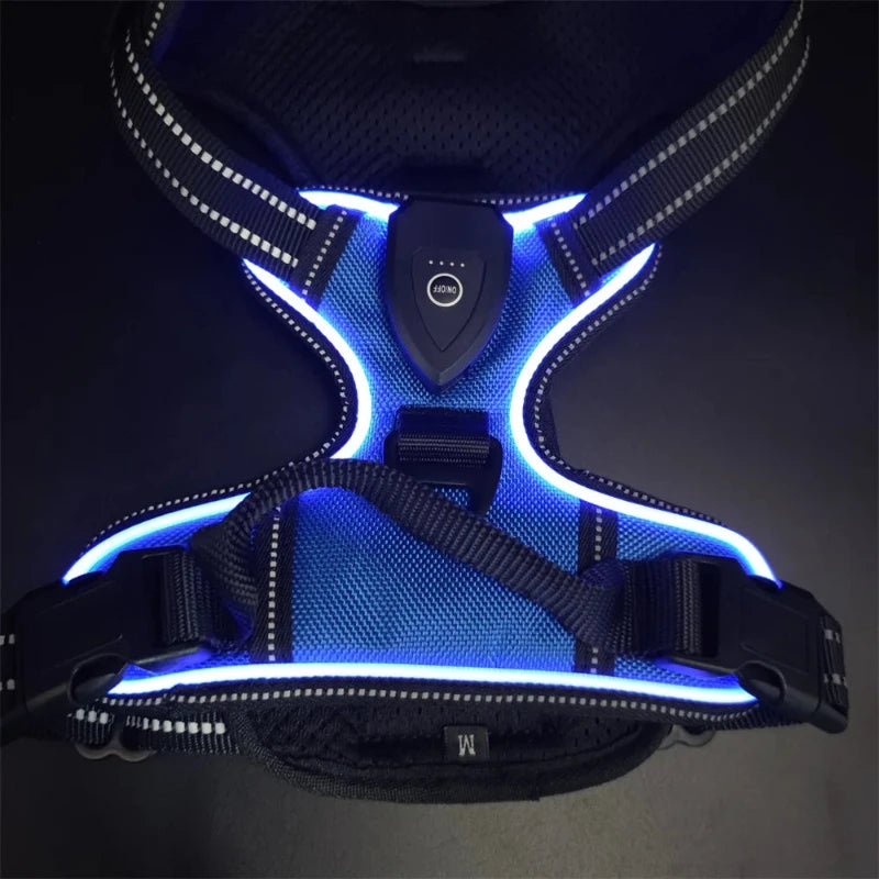 Blue LED dog harness 