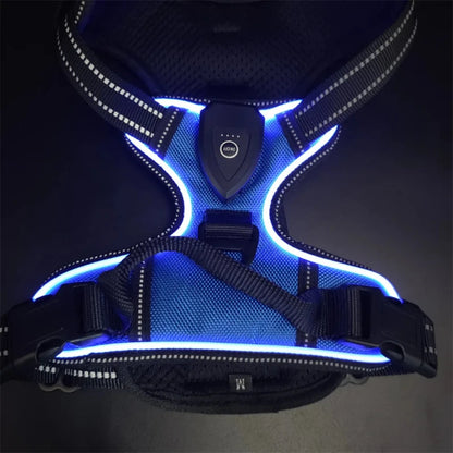 Blue LED dog harness 