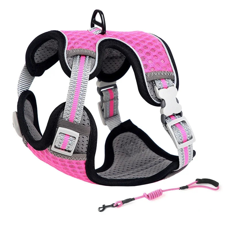 Escape Proof Cat Harness