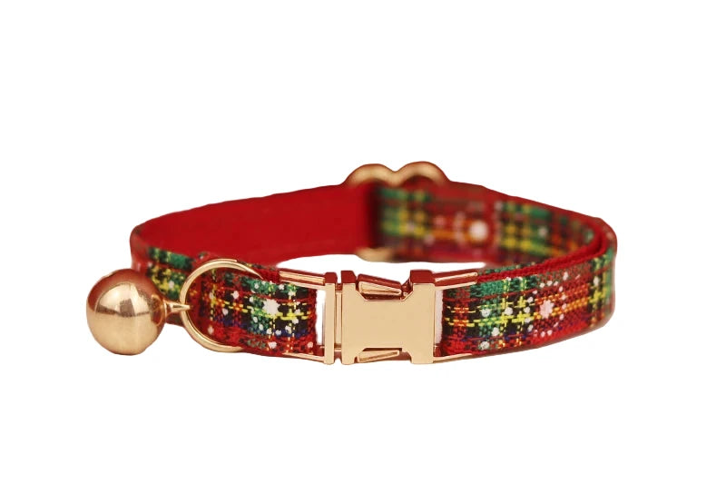  cat collar with gold clasp