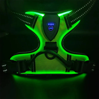 Green LED dog harness 