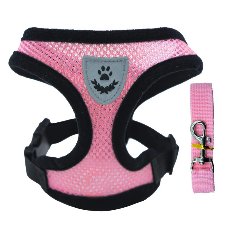 Cat Harness - PetitFurr