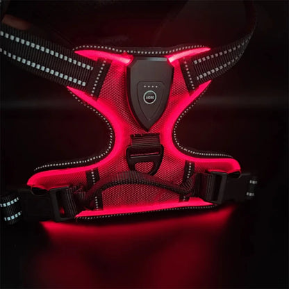 Red LED dog harness 