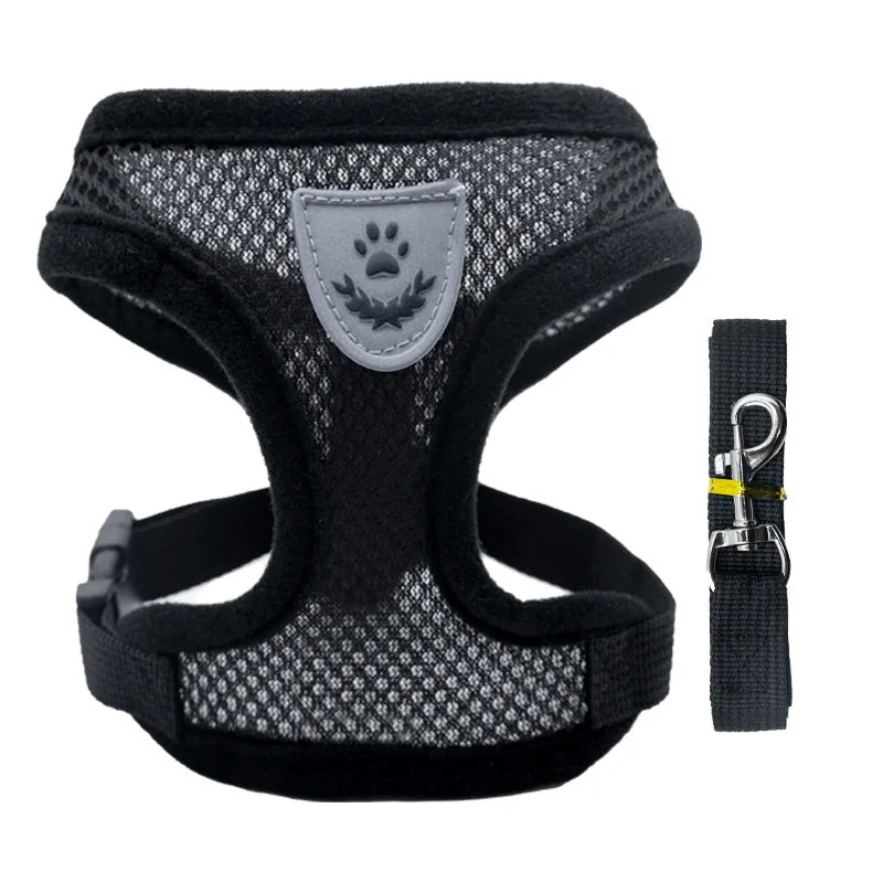 Cat Harness - PetitFurr