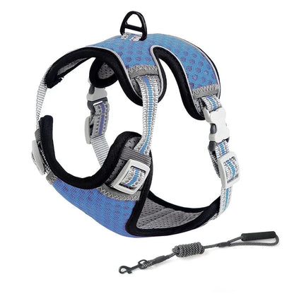 Escape Proof Cat Harness