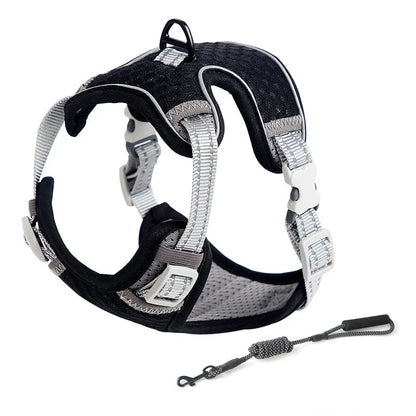Escape Proof Cat Harness