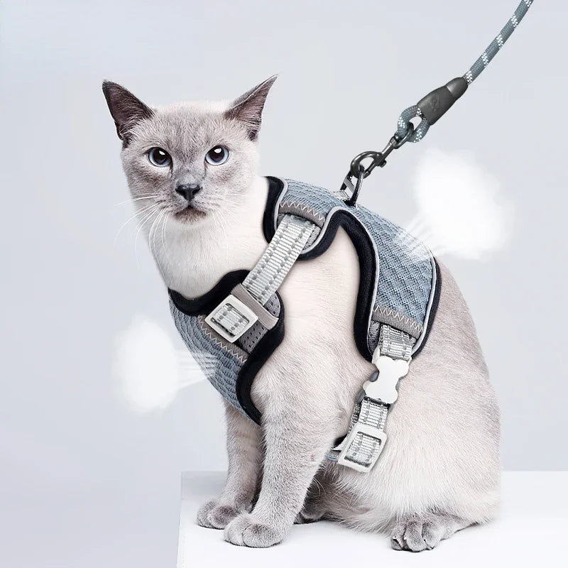 Escape Proof Cat Harness