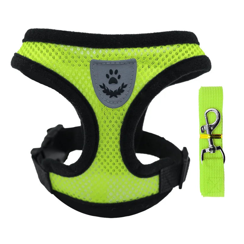 Cat Harness - PetitFurr