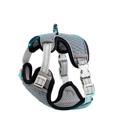 Neck support brace with text &