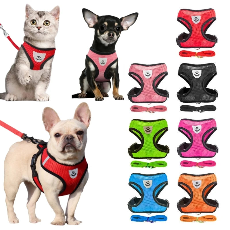 Cat Harness - PetitFurr