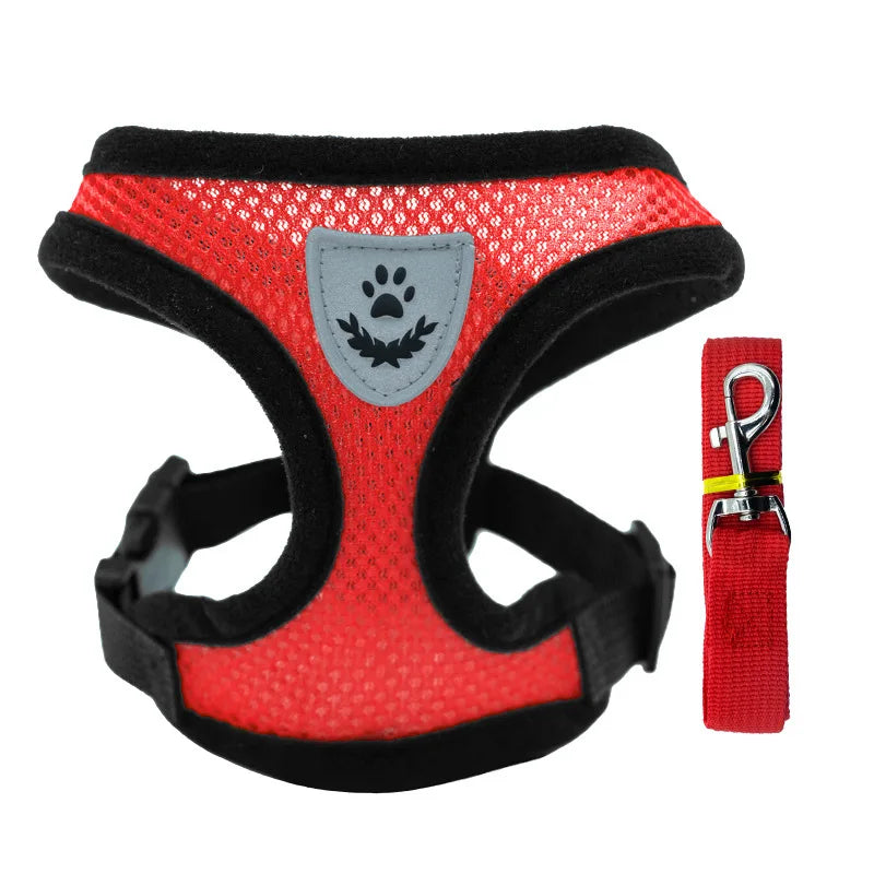 Cat Harness - PetitFurr