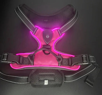Pink LED dog harness 