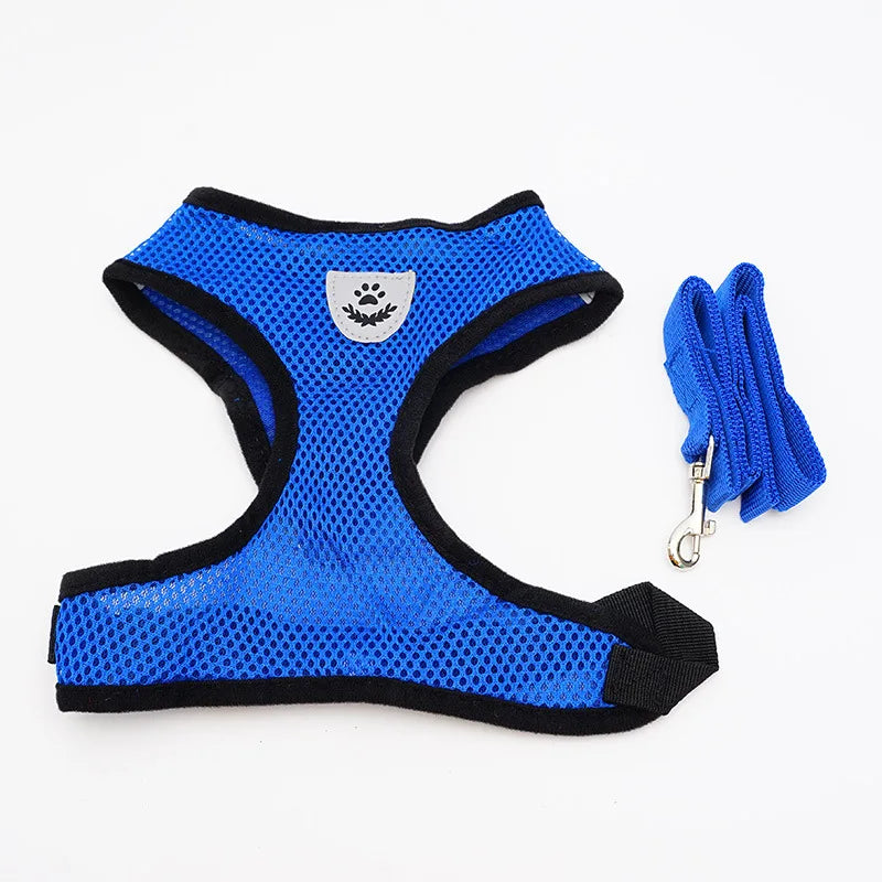 Cat Harness - PetitFurr