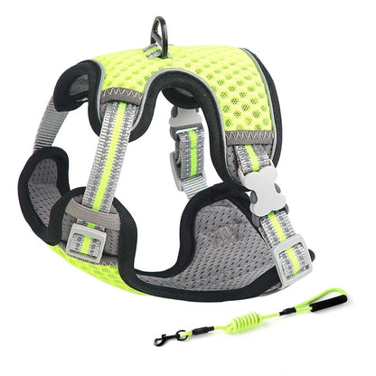 Escape Proof Cat Harness