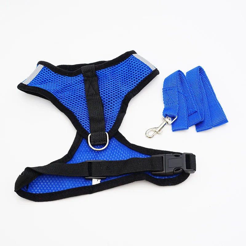 Cat Harness - PetitFurr