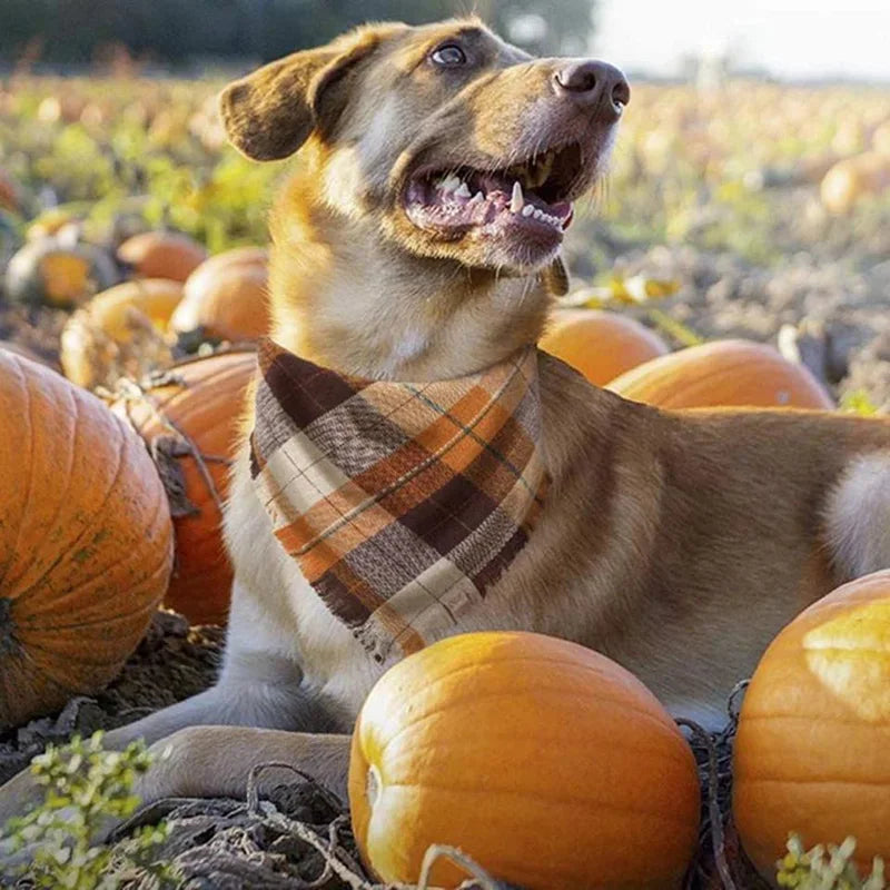 Dog Bandanas for Medium /Large Dogs